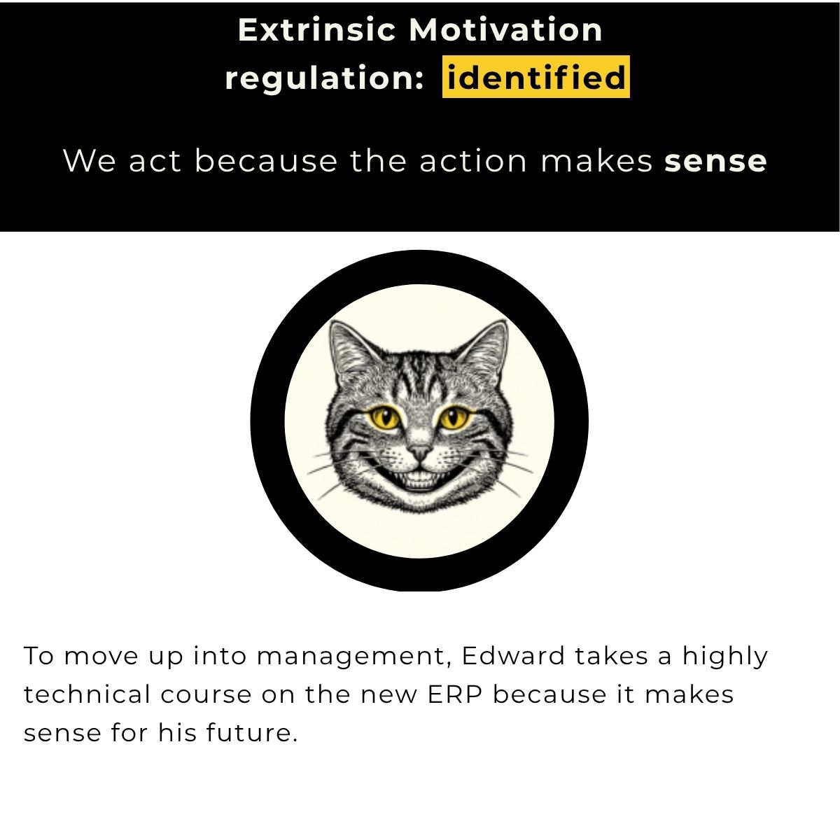 Extrinsic motivation, identified regulation: acting because the action makes sense. Example: to move into a management role, Edward takes a highly technical course on the new ERP, because it makes sense for his future.