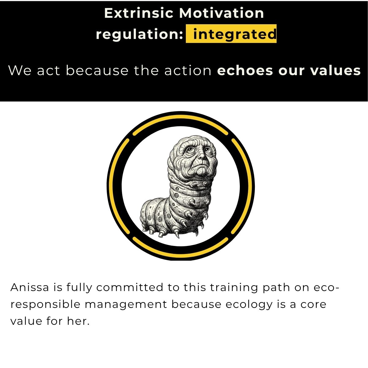 Extrinsic motivation, integrated regulation: acting because the action is in line with our values. Example: Anissa commits fully to a programme on eco-responsible management because ecology is a core value for her.