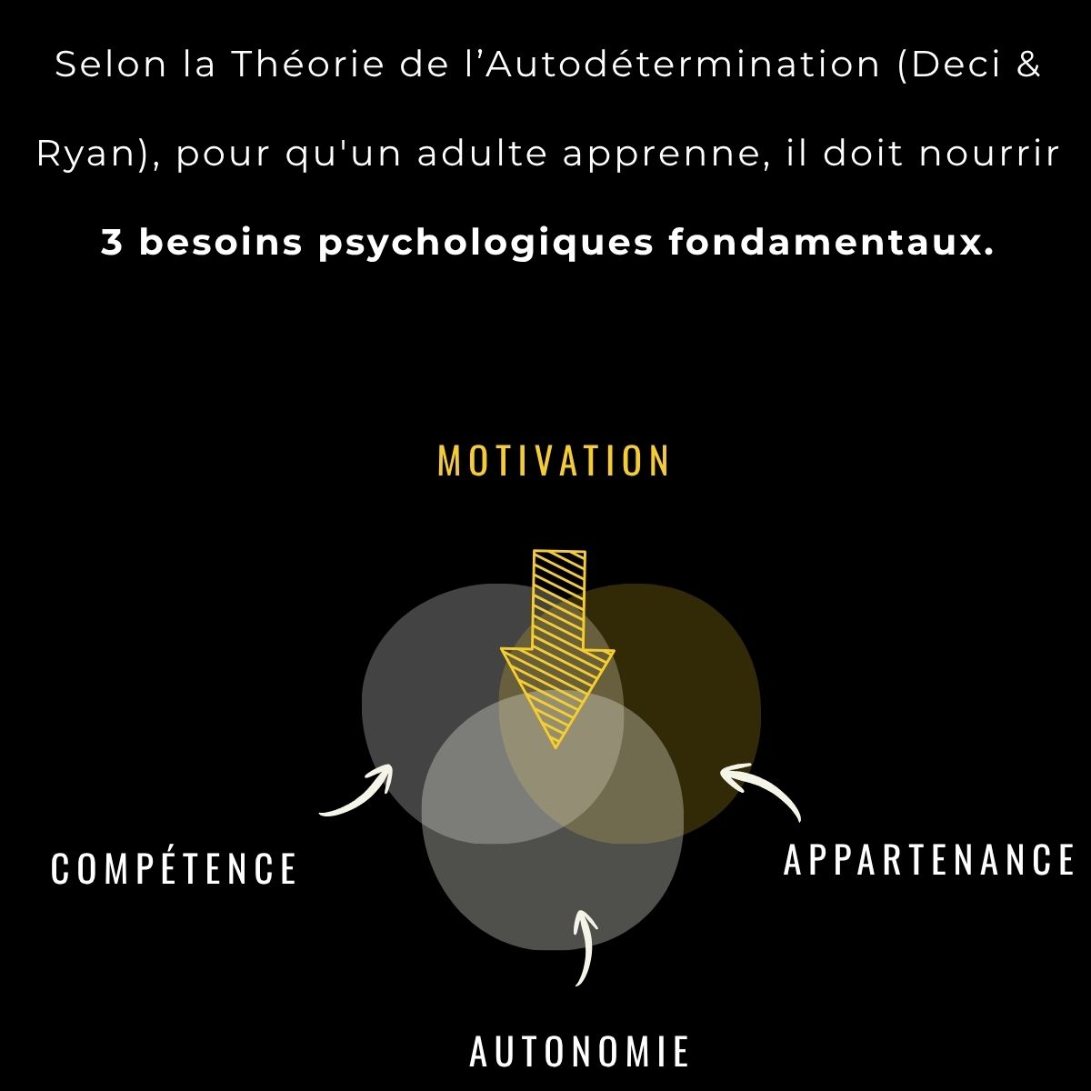 Selon la théorie de l'autodétermination (Deci et Ryan), pour qu'un adulte apprenne, il doit nourrir 3 besoins psychologiques fondamentaux : la compétence, l'appartenance et l'autonomie.