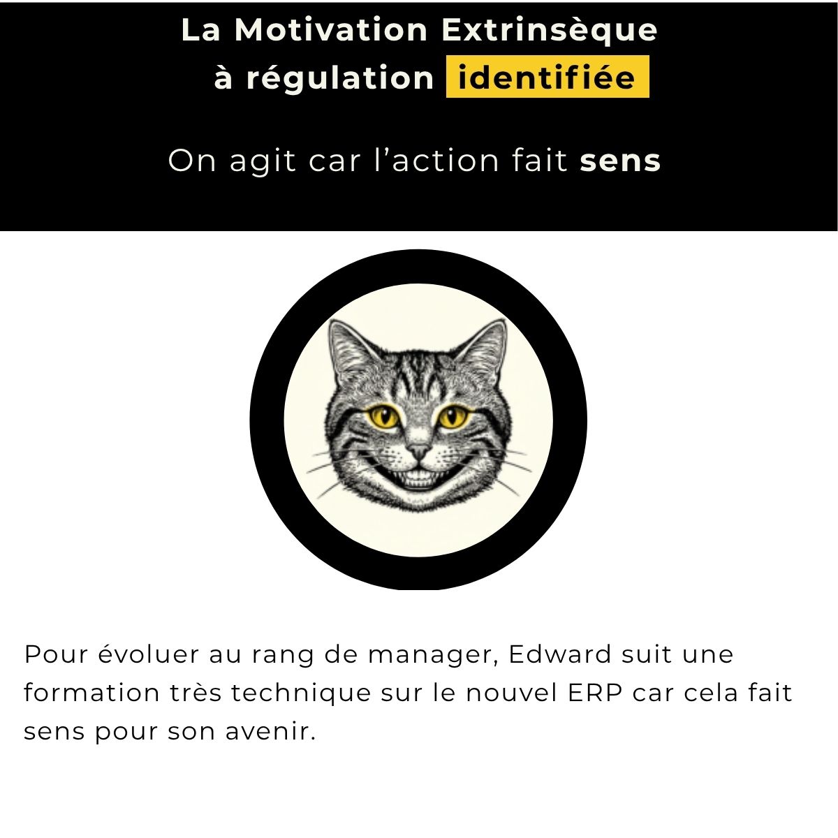 La motivation extrinsèque à régulation identifiée : on agit car l'action fait sens. Exemple : pour évoluer au rang de manager, Edward suit une formation très technique sur le nouvel ERP, car cela fait sens pour son avenir.