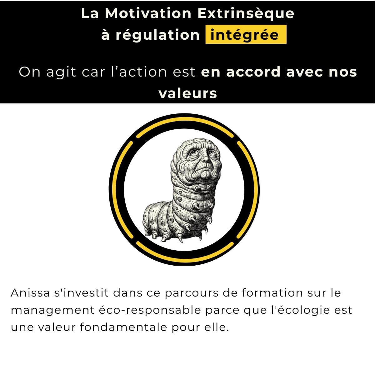 La motivation extrinsèque à régulation intégrée : on agit car l'action est en accord avec nos valeurs. Exemple : Anissa s'investit dans un parcours sur le management éco-responsable parce que l'écologie est une valeur fondamentale pour elle.