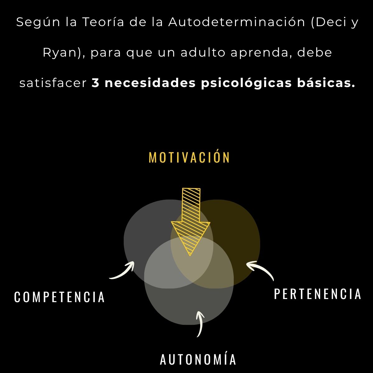 Según la teoría de la autodeterminación (Deci y Ryan), para que una persona adulta aprenda, debe satisfacer tres necesidades psicológicas básicas: la competencia, la relación con los demás y la autonomía.