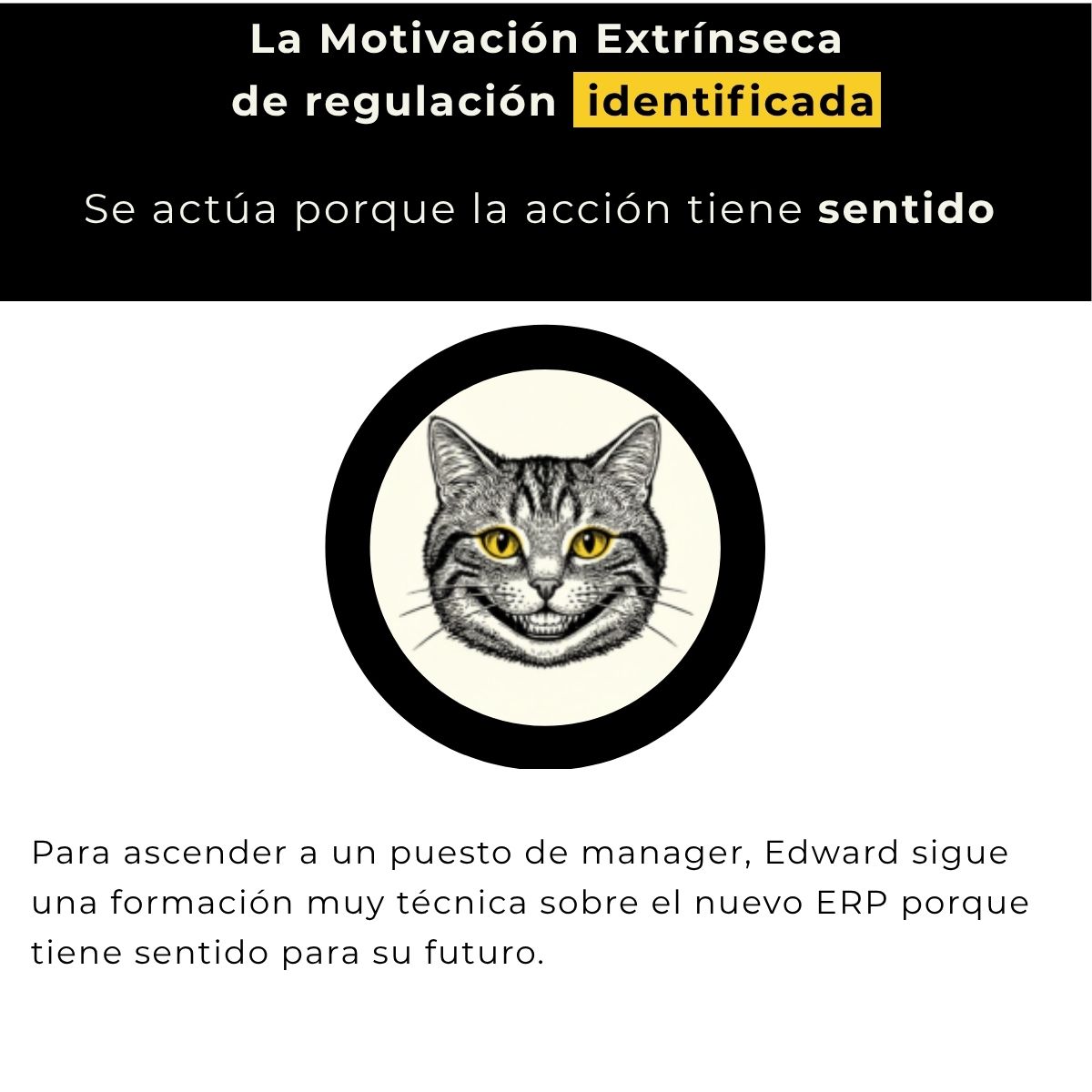Motivación extrínseca de regulación identificada: se actúa porque la acción tiene sentido. Ejemplo: para ascender a un puesto de mánager, Edward sigue una formación muy técnica sobre el nuevo ERP, porque tiene sentido para su futuro.